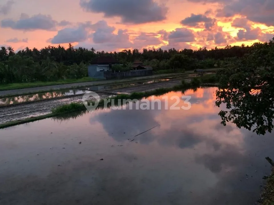 For Sale Or Lease Modern  Villa With Fantastic  View - Image 4 of 4