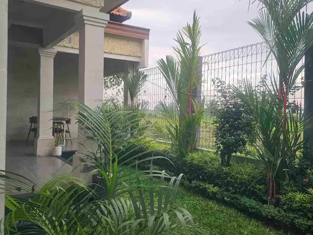 House full furnished with rice field view - Image 9 of 9