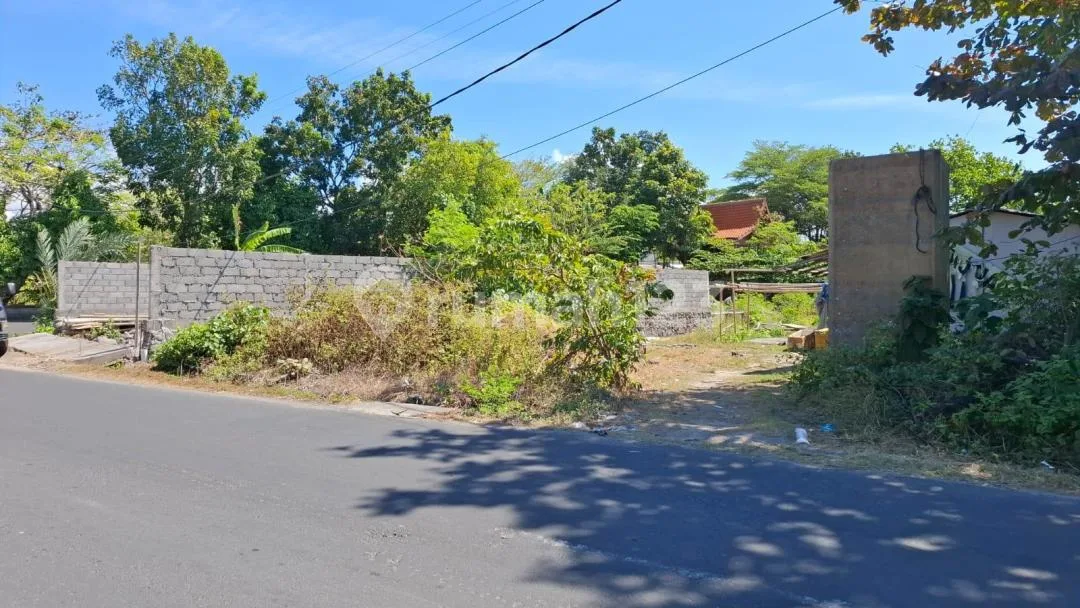 Dijual Tanah 10 Are Strategis Denpasar #6436 - Image 4 of 4