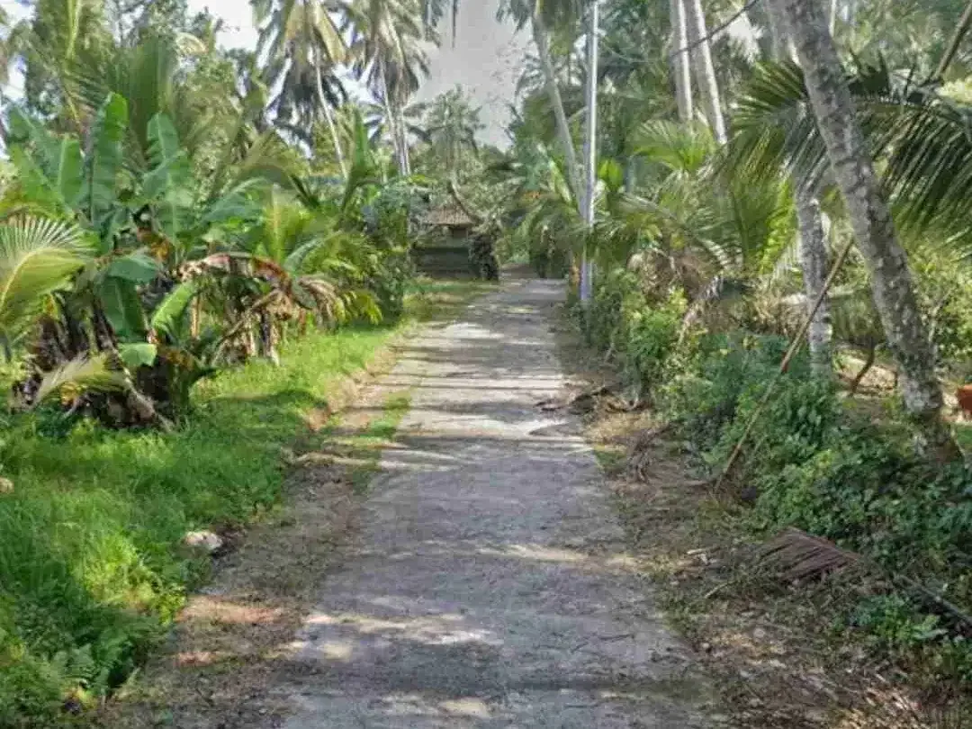 Tanah Kebun Cocok Tanam Durian di Tabanan Bali - Image 4 of 5