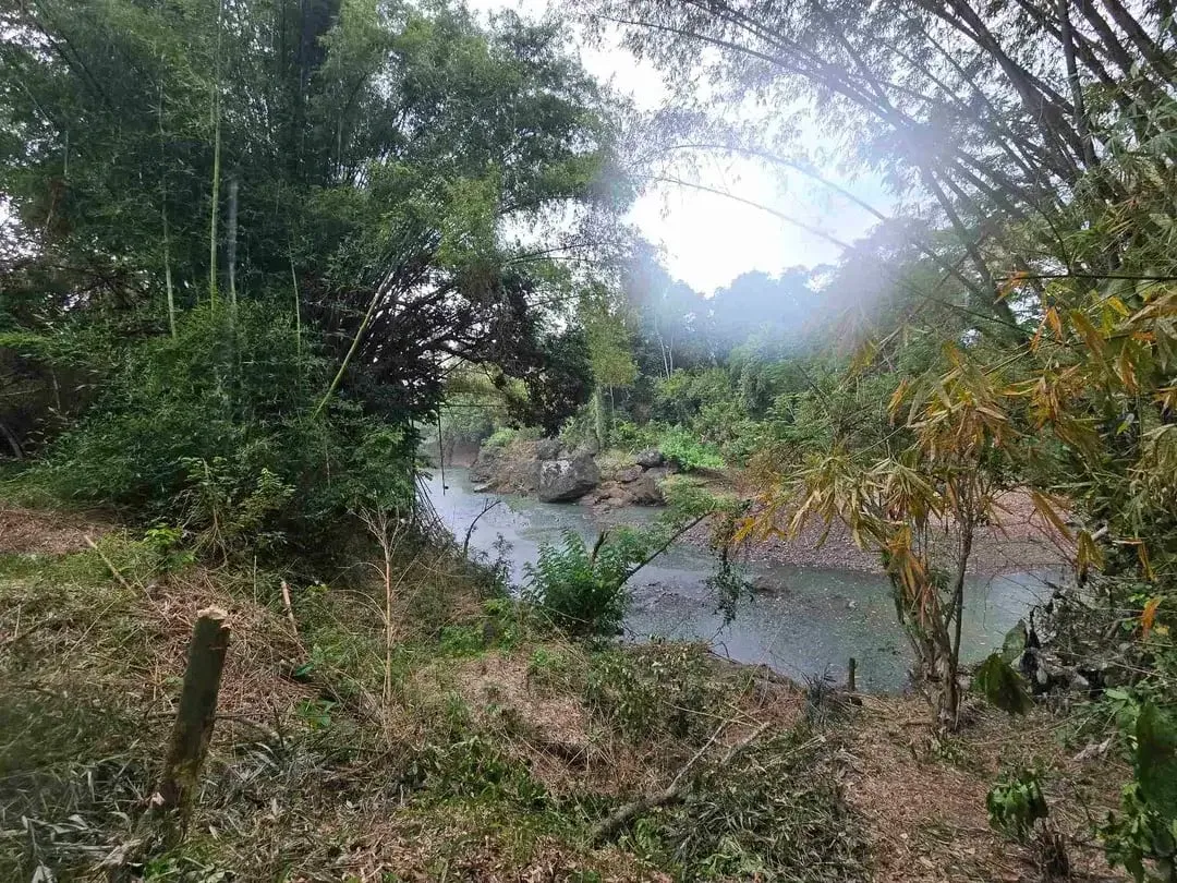 Dijuat tanah datar los sungai bebatuan di tabanan bali - Image 1 of 10