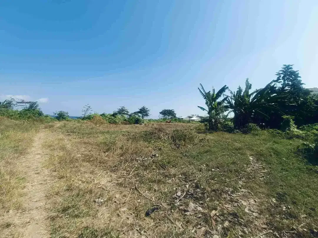 Tanah Premium Beachfront dan Jalan Utama By pass Ida Bagus Mantra Pantai Lebih Gianyar - Image 4 of 9