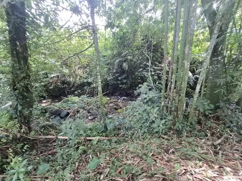 Dijual tanah los sungai dan view sawah di tabanan bali - Image 6 of 10