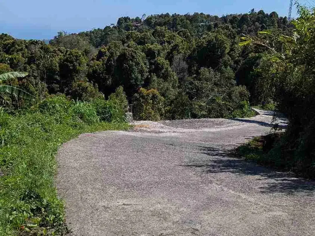 DI JUAL TANAH GLOBAL DI KAWASAN BERKEMBANG DESA GESING VIEW LAUT DAN PEGUNUNGAN, DEKAT WISATA DANAU TAMBLINGAN - Image 3 of 5
