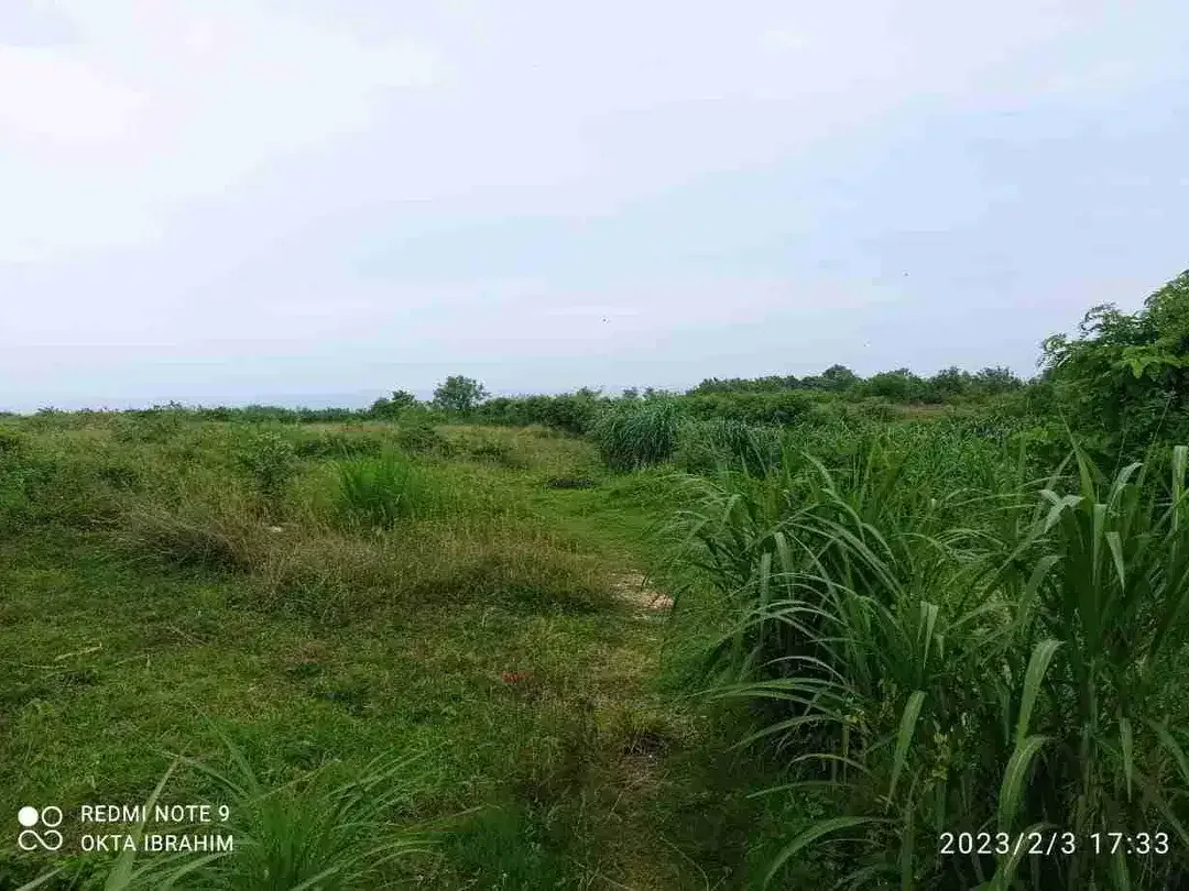 Lahan Premium Tepi Tebing pantai Nyang Nyang Bali - Image 9 of 10