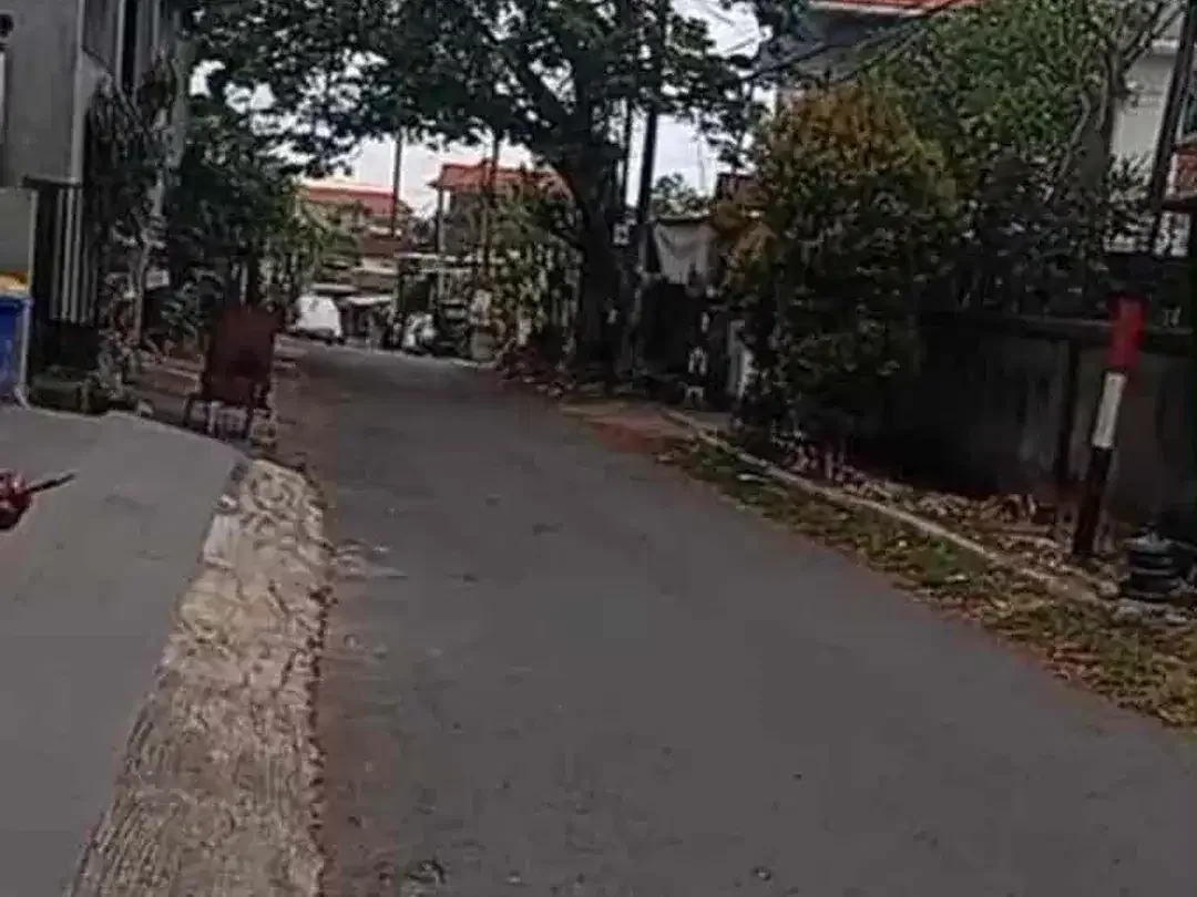 Freehold (DIJUAL) Lahan
sebidang tanah di jln Muding indah  kerobokan kuta utara Badung

Luas tanah 8,45 Are
Lebar depan 22.5 meter
Hadap utara
Akses jalan masuk 8 meter LC
SHM
Zona kuning
Sangat - Image 2 of 5