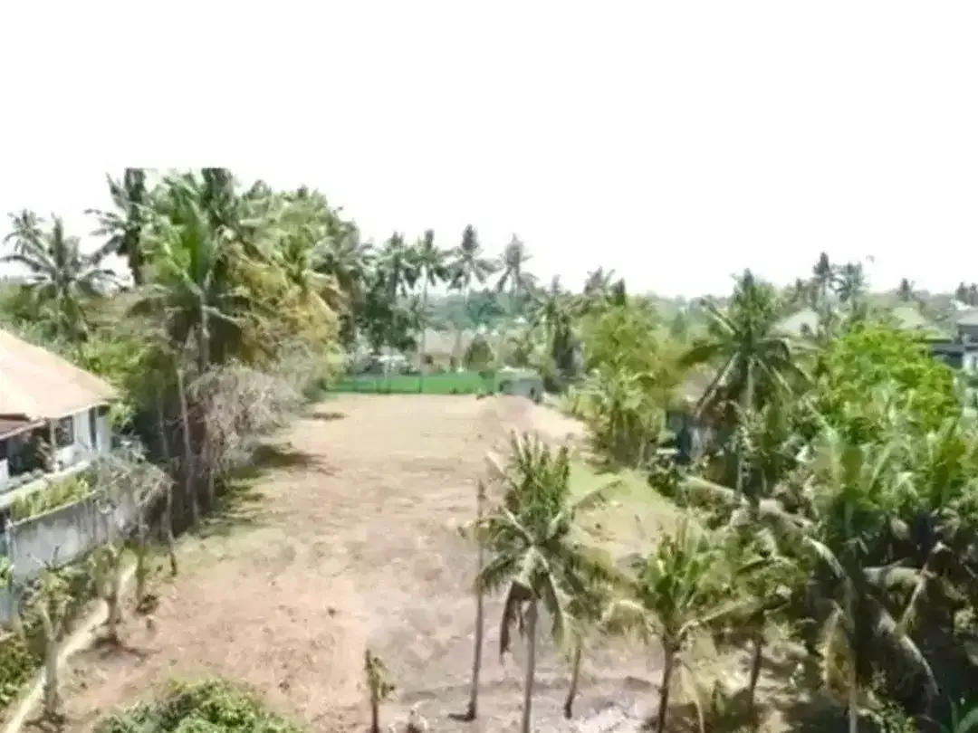 TANAH DENGAN THE BEST VIEW IN MAS UBUD GIANYAR - Image 5 of 9
