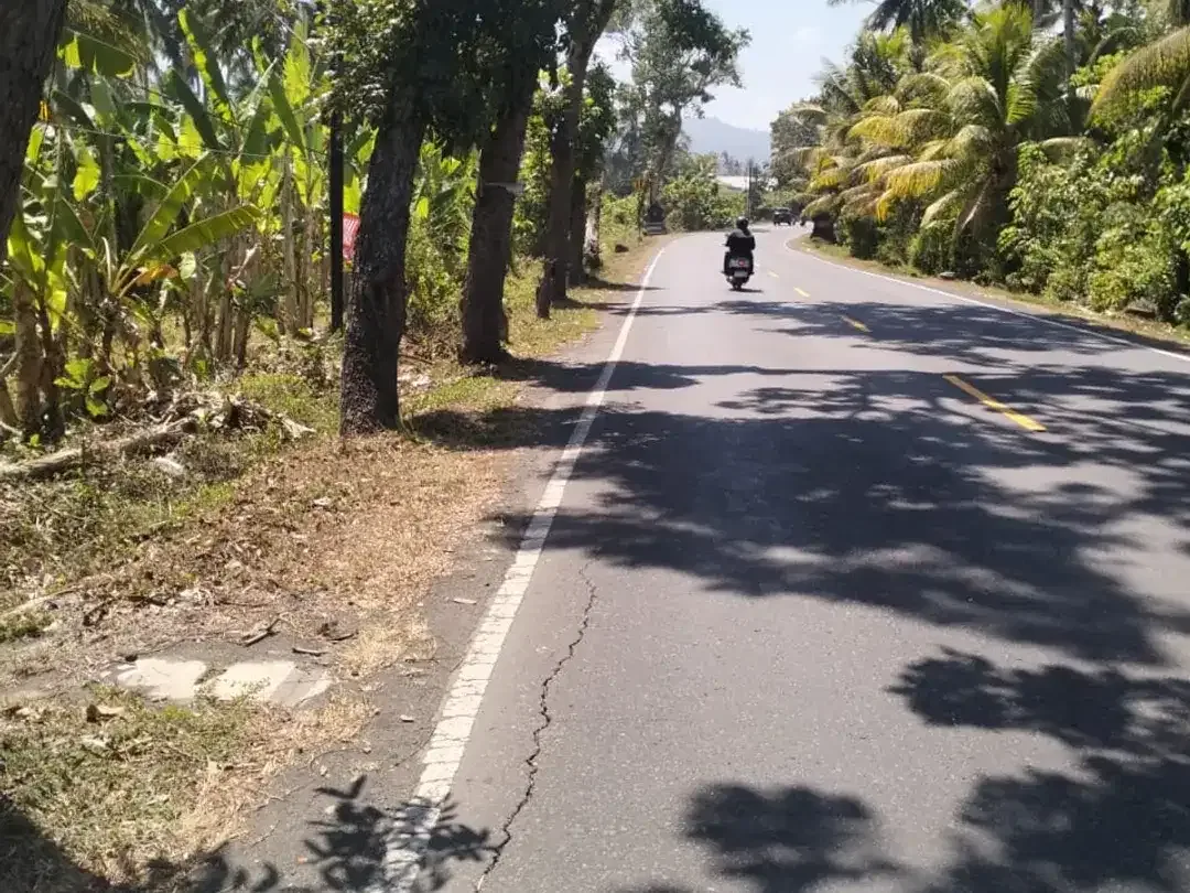DIJUAL TANAH STRATEGIS – PANGYANGAN, JEMBRANA - Image 3 of 4