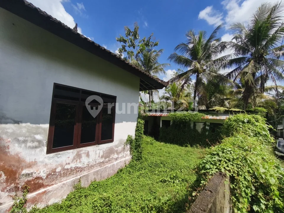 Rumah Murah LT 2 Are di Bawah Pasaran Hanya 500 Juta di Tabanan - Image 3 of 4