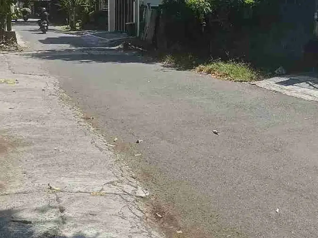 di sewakan kan tanah 3,4are di jln badak agung renon - Image 3 of 4