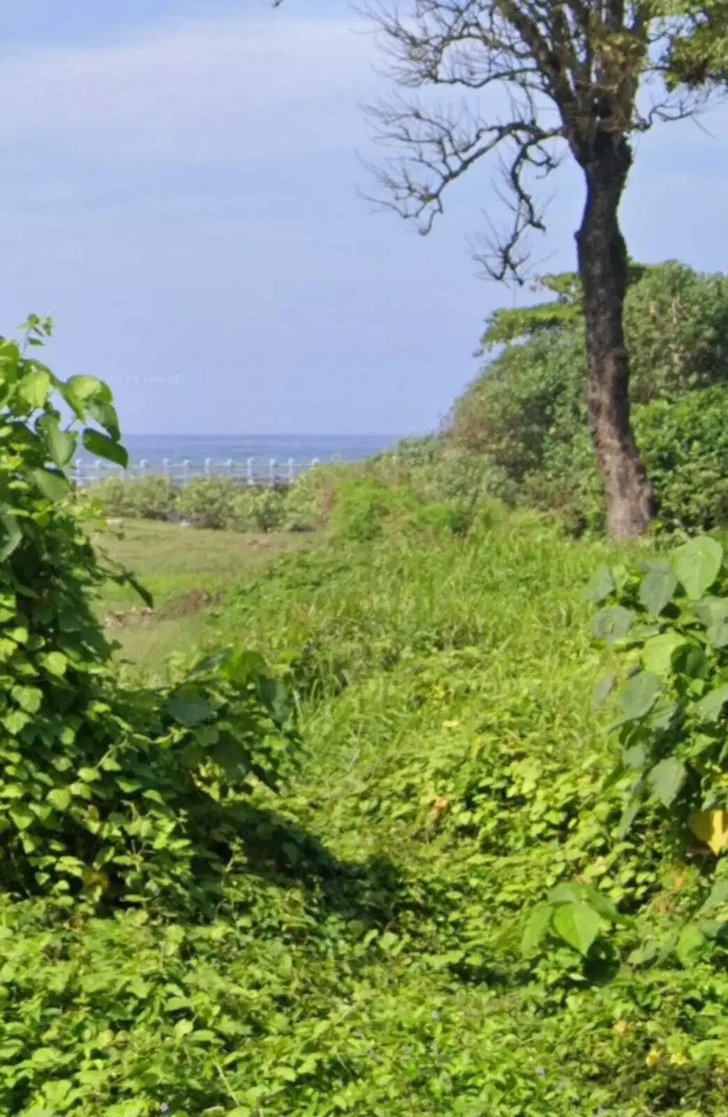 BUC 15 Are View Pantai Lingkungan Villa di Ketewel Gianyar - Image 1 of 9