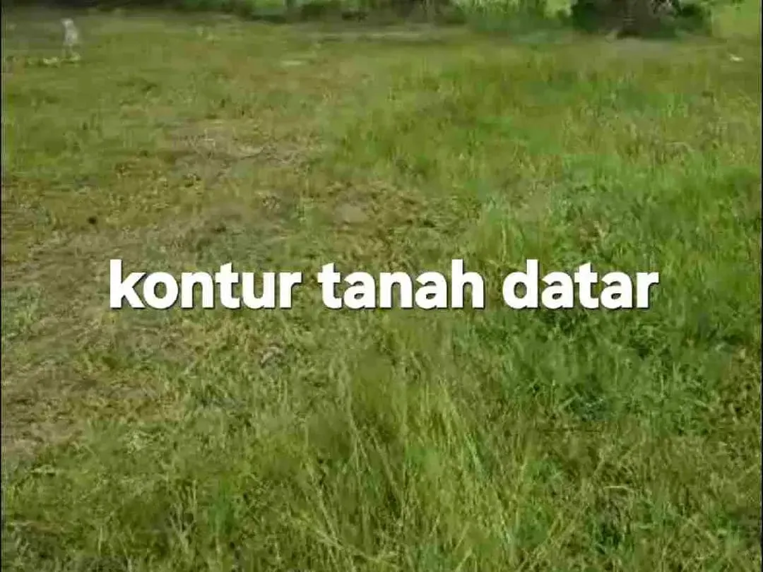 Jual Tanah kebun 33,6are jalan 8 aspal di Payangan Gianyar Ubud Bali - Image 6 of 10