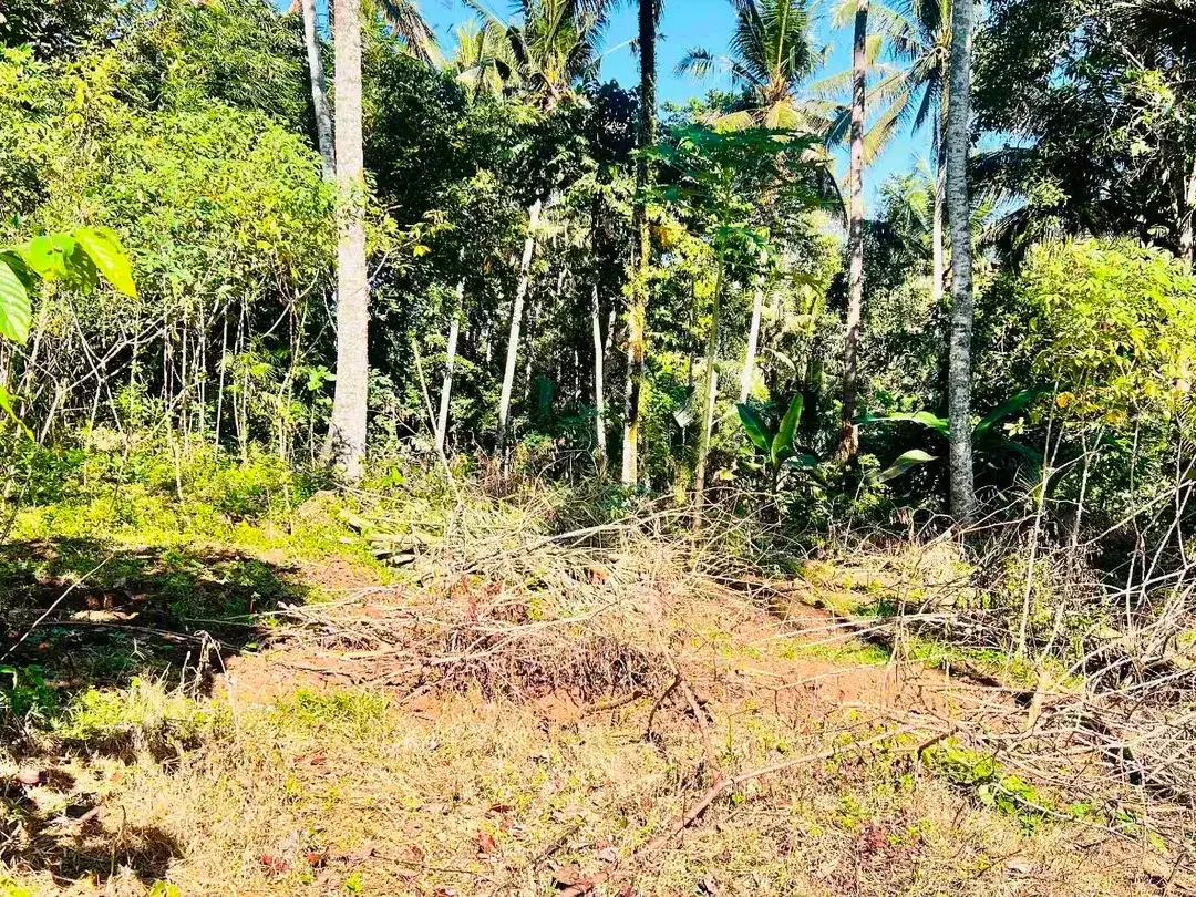 jual tanah Luas 950 m² harga 380 juta global, kawasan villa jarang ada, di tabanan bali. - Image 4 of 10
