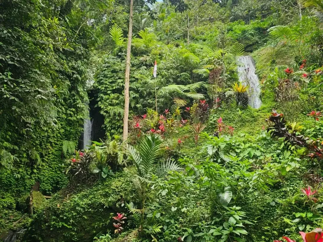jungle river side - Image 9 of 10