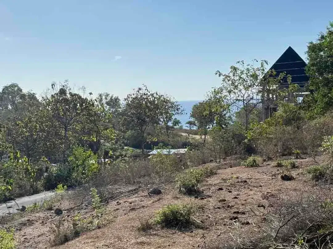 DIJUAL TANAH OCEAN VIEW PANTAI CEMONGKAK – PECATU, BALI - Image 10 of 10