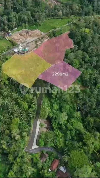 Tanah Keliki Ubud Gianyar - Image 3 of 4