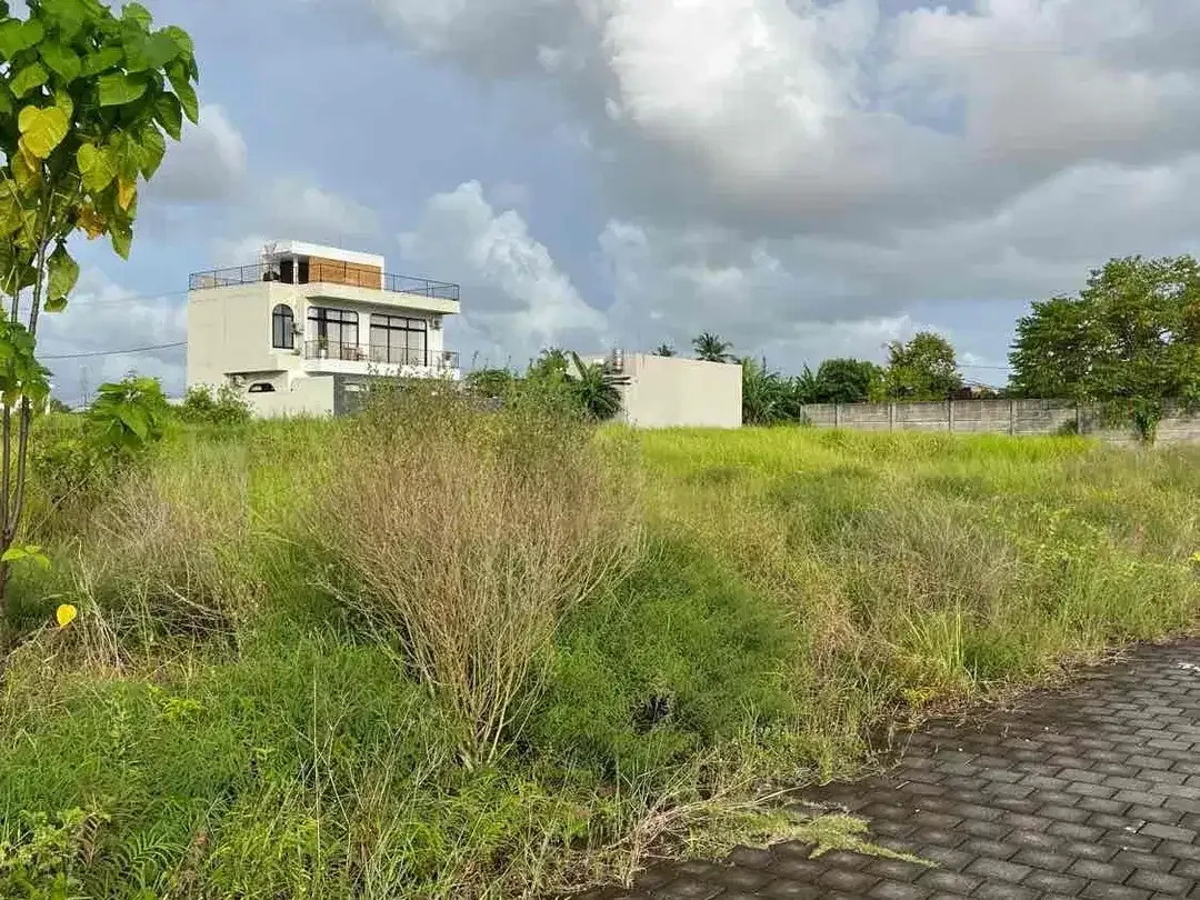 SALE Tanah 2 Are View Sawah Dekat Pantai Kedungu - Image 4 of 6