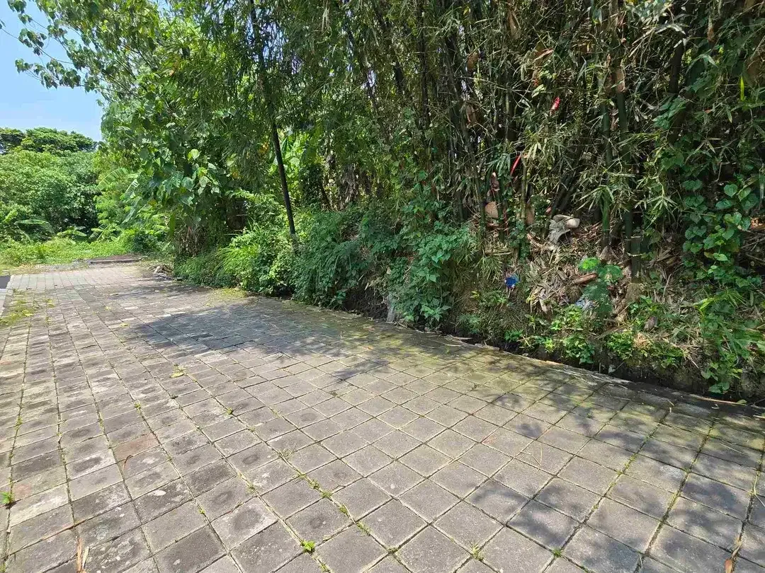 DIJUAL TANAH CANGGU PADANGLINJONG - Image 8 of 9