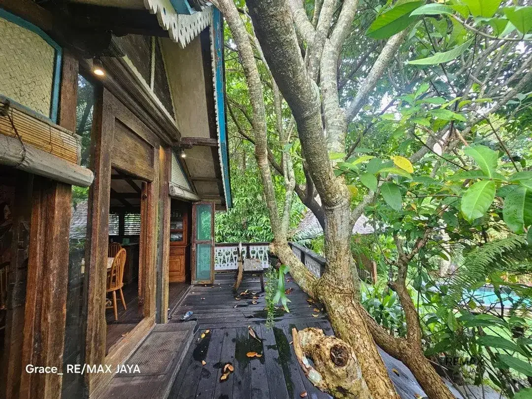 Tanah Premium 6,58 Are dengan Bonus Villa Dijual di Pererenan, Canggu - Image 5 of 8