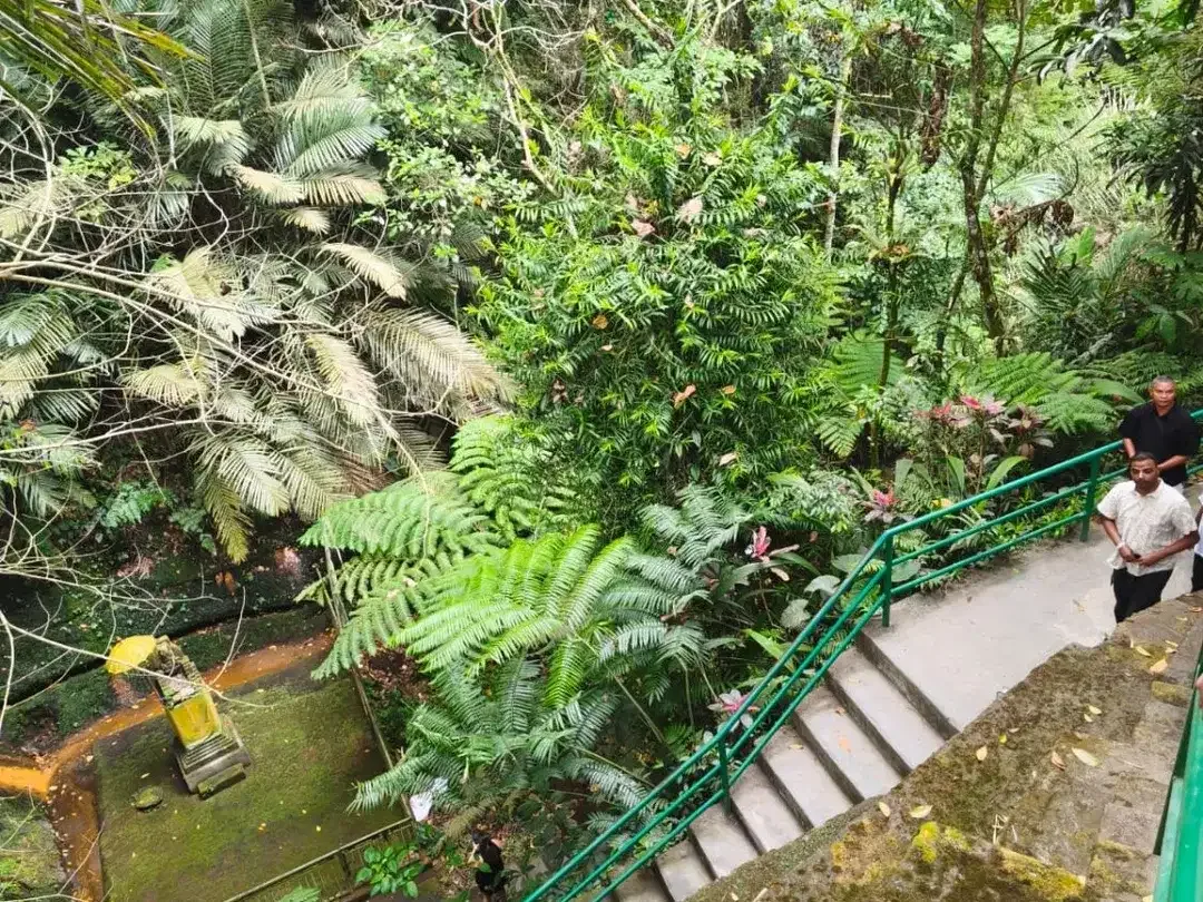 Dijual Tanah Langka View Air Terjun Ulu Petanu, di Jl. Bayad, Kedisan, Tegalalang, Gianyar. - Image 4 of 8