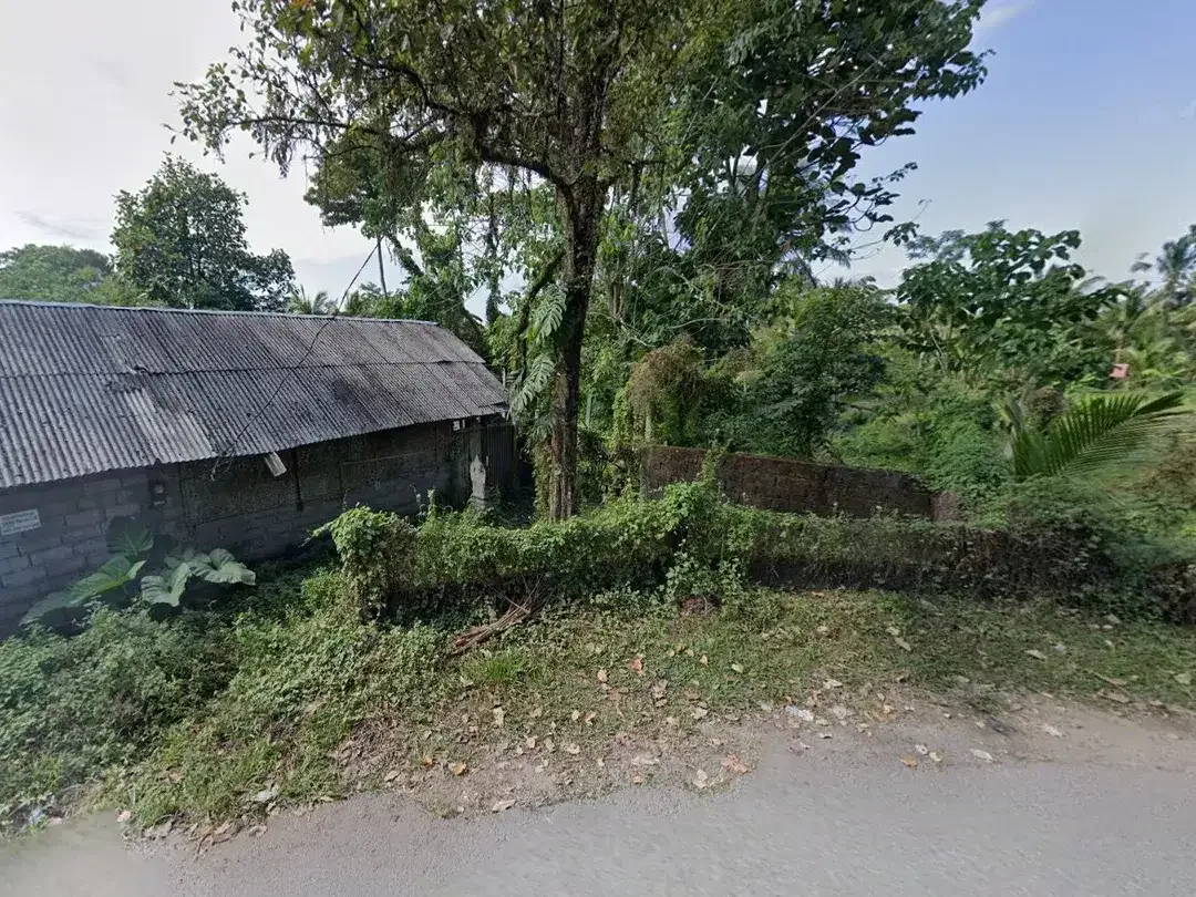 3200 sqm land with calm countryside environment for sale in Penebel - Image 8 of 8