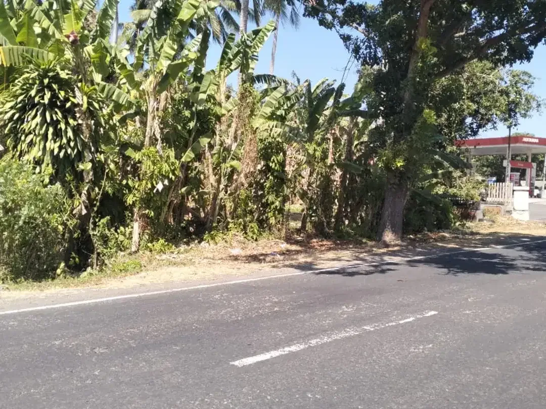 DIJUAL TANAH PINGGIR JALAN – PAKUTATAN, JEMBRANA - Image 1 of 3