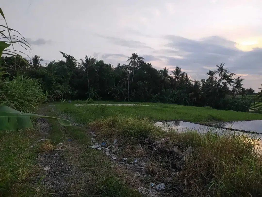 LAND FOR SALE NEAR TANAH LOT TABANAN - Image 5 of 10