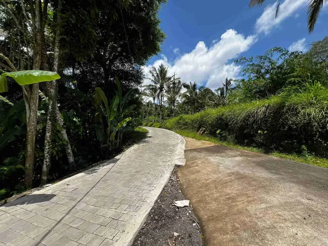 Tanah Payangan Ubud Gianyar Bali - Image 4 of 6