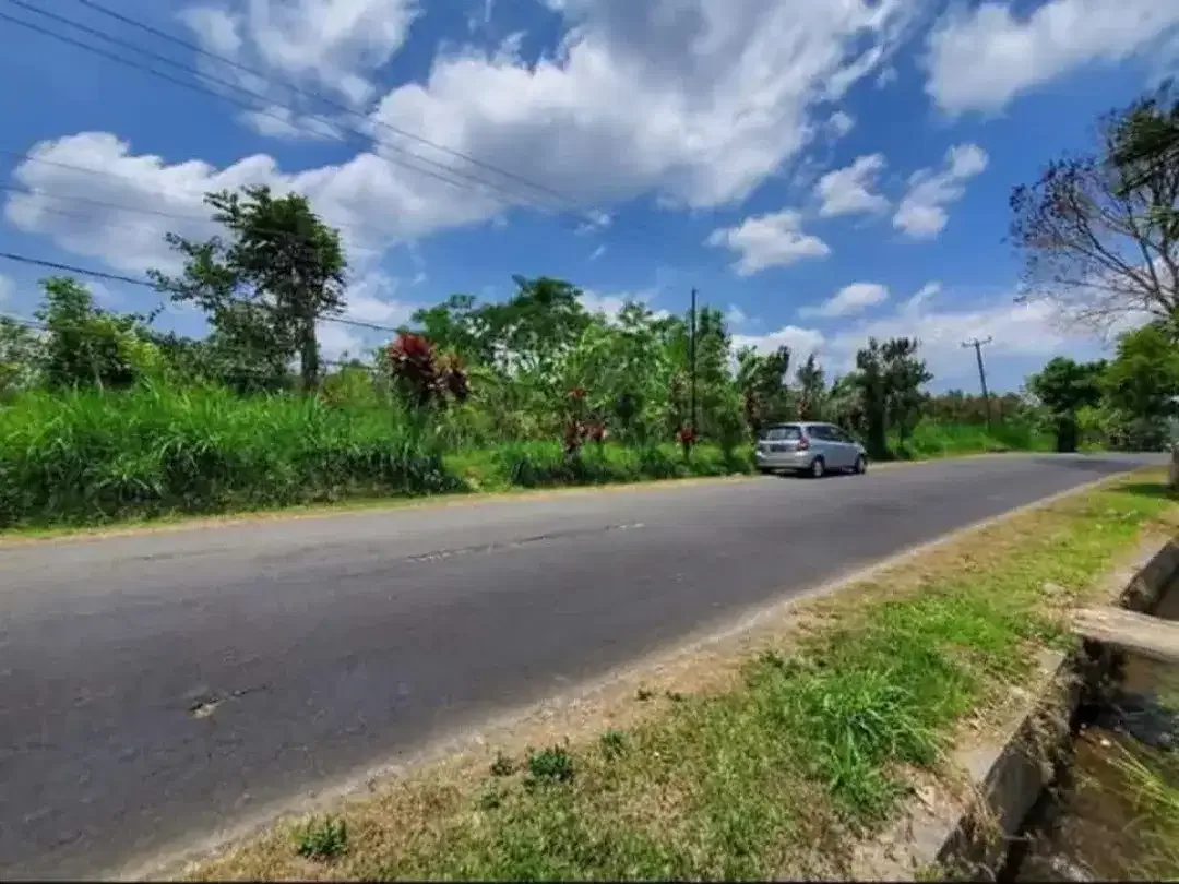 Di Jual Tanah Komersial Murah - Petang, Badung - Image 1 of 3