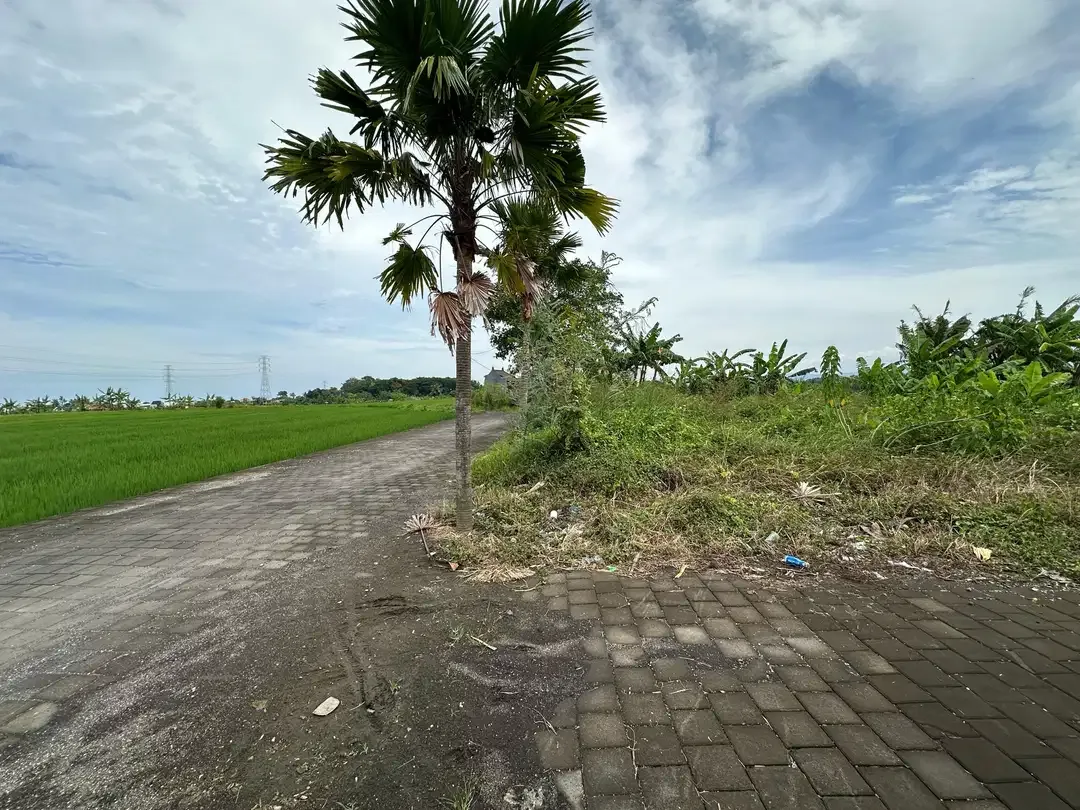 15 Menitan Canggu TANAH PANTAI KEDUNGU LINGKUNGAN VILLA VIEW SAWAH - Image 2 of 10