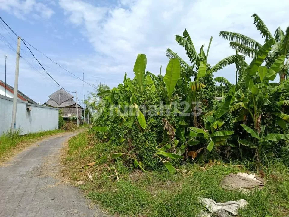 Tanah Luas Strategis Siap Bangun Dekat Pantai di Cemagi - Image 4 of 4