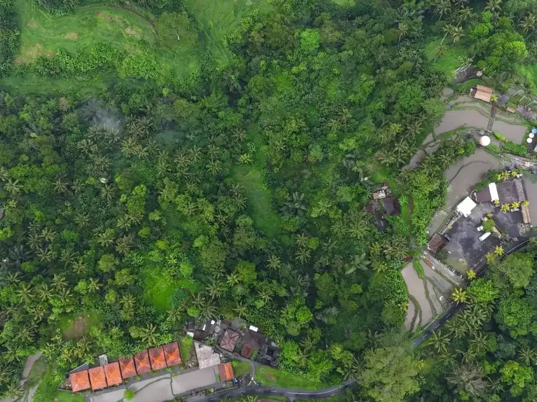Tanah 1,3 Hektar View Sawah dan Jungle Dekat Rice Terrace Ubud - Image 9 of 10