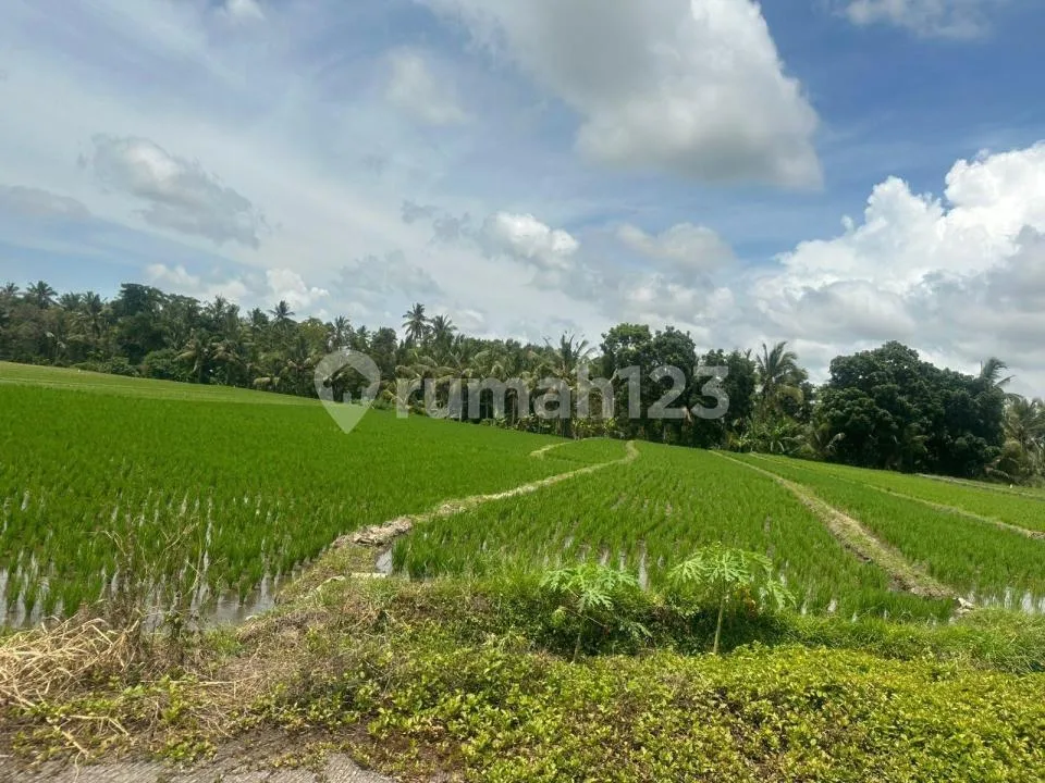 Tanah Dua Sekaligus Lokasi Strategis di Wanasari, Tabanan - Image 2 of 4