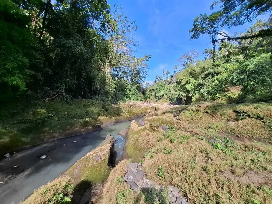 Dijual tanah los sungai dengan view sawah di tabanan bali - Image 2 of 10