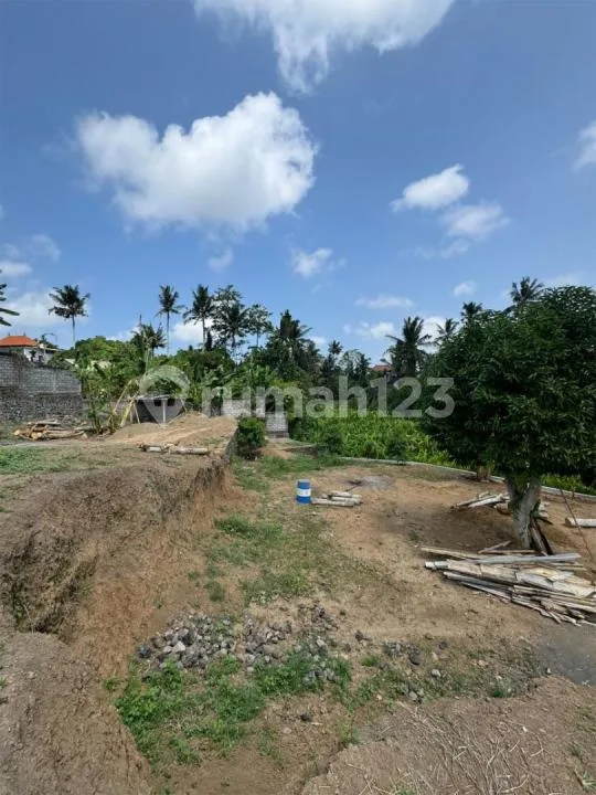 Dijual Tanah - Batuan Kaler, Mas Ubud View Jungle dan Lembah - Image 4 of 4