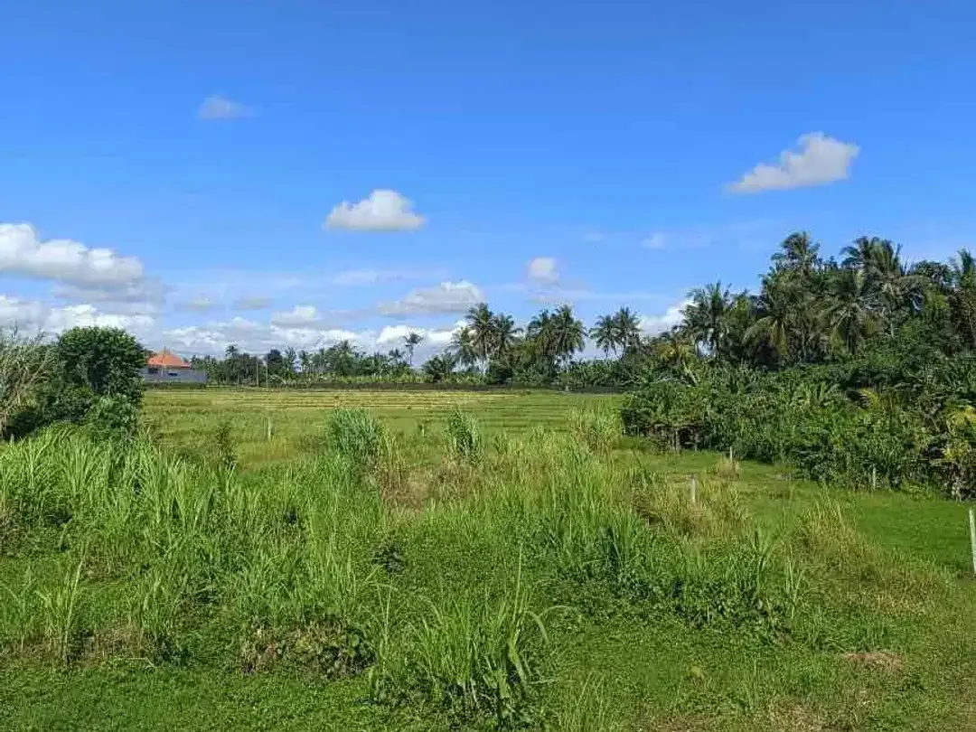 Dijual tanah lokasi pantai nyanyi tabanan Bali,lokasi sebelah barat pantai cemagi - Image 4 of 9