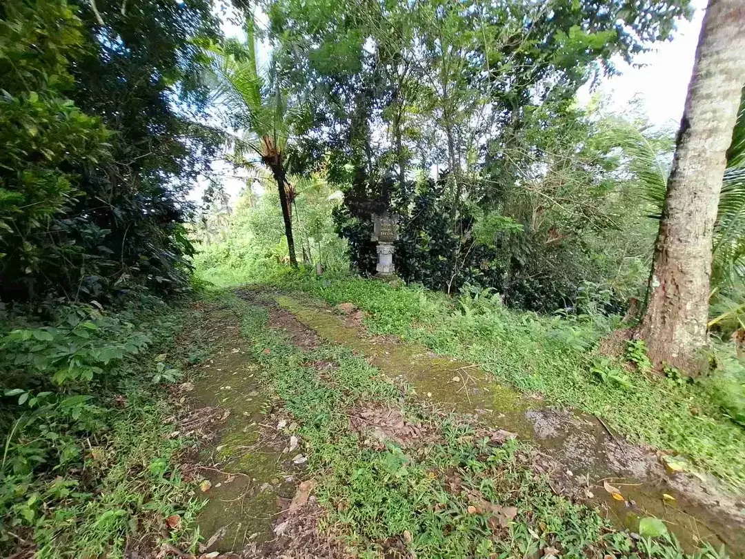 Dijual tanah murah los sungai dekat villa di bali - Image 7 of 10