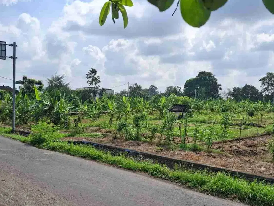 tanah kontrak jalan utama pantai nyanyi tabanan - Image 6 of 8