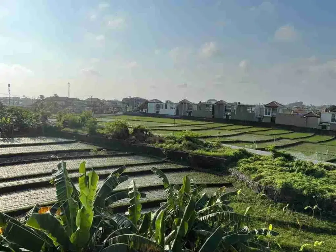 Hotel + 6 unit villa dalam satu area luas, hanya menit ke Pantai Mengening Cemagi – Canggu - Image 9 of 10