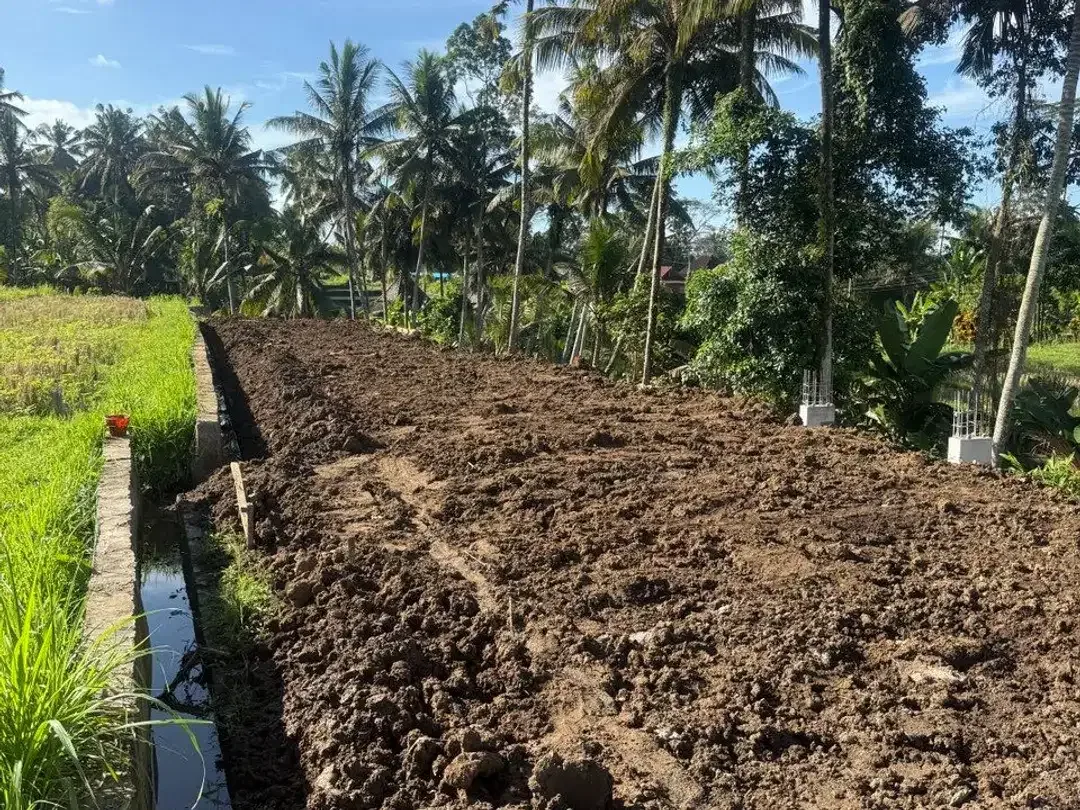 Prime Investment Land - 27 Are Leasehold Plot in Pejeng, Ubud - Secure Your Piece of Bali's Land - Image 4 of 10