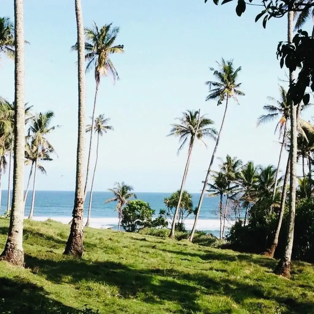 Tanah beach front pantai bonian tabanan bali - Image 5 of 10