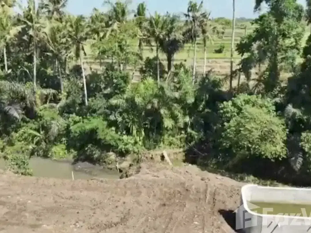 Land for sale in Sukawati, Bali - Image 4 of 6