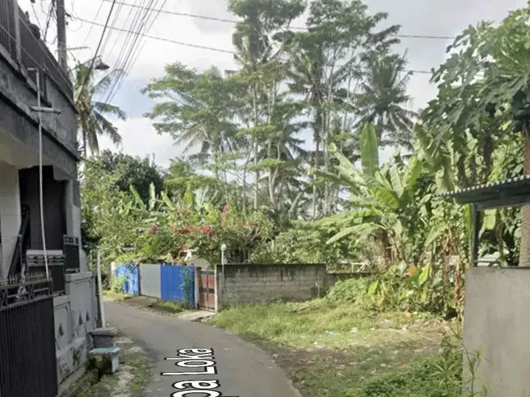 Dijual Tanah Kosong View Sawah dan Sungai - Image 6 of 6