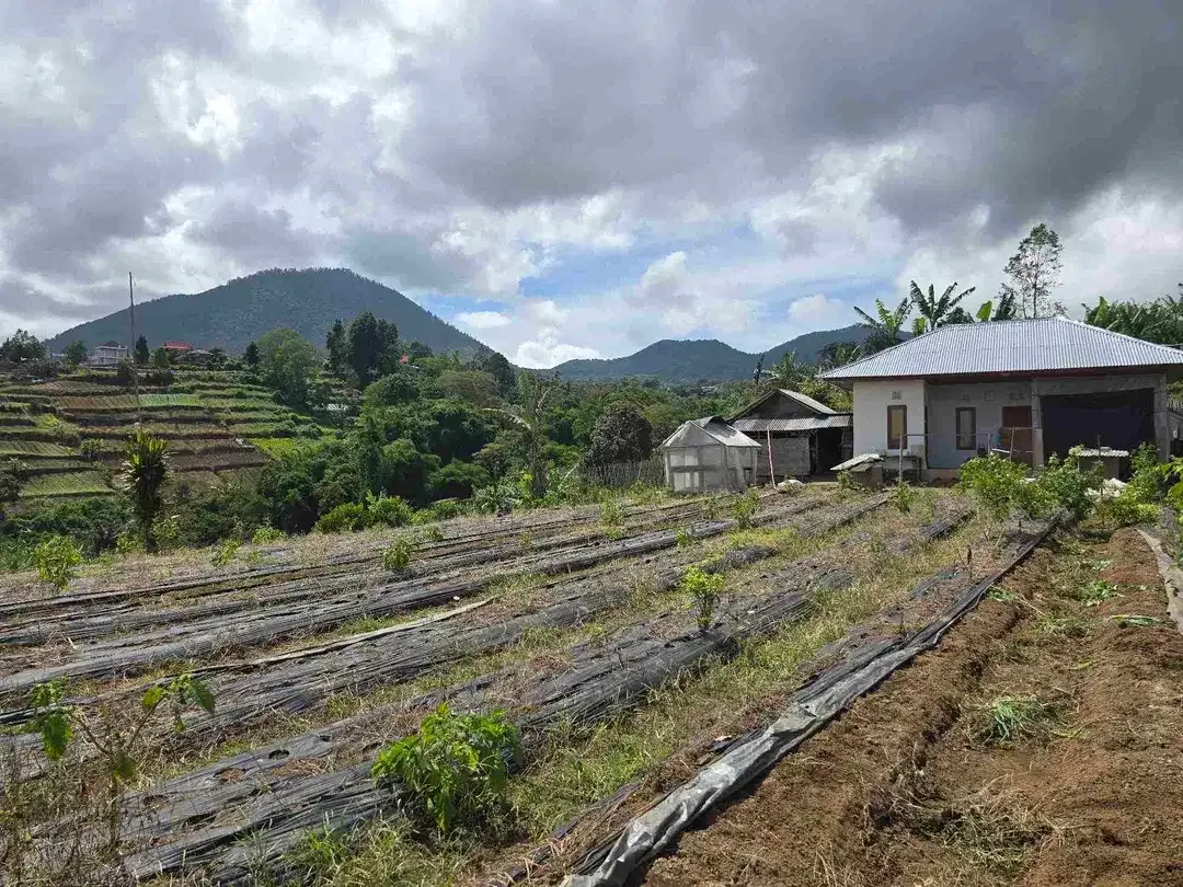 Dijual tanah view istimewa exotik lembah dan gunung di bedugul bali - Image 3 of 10