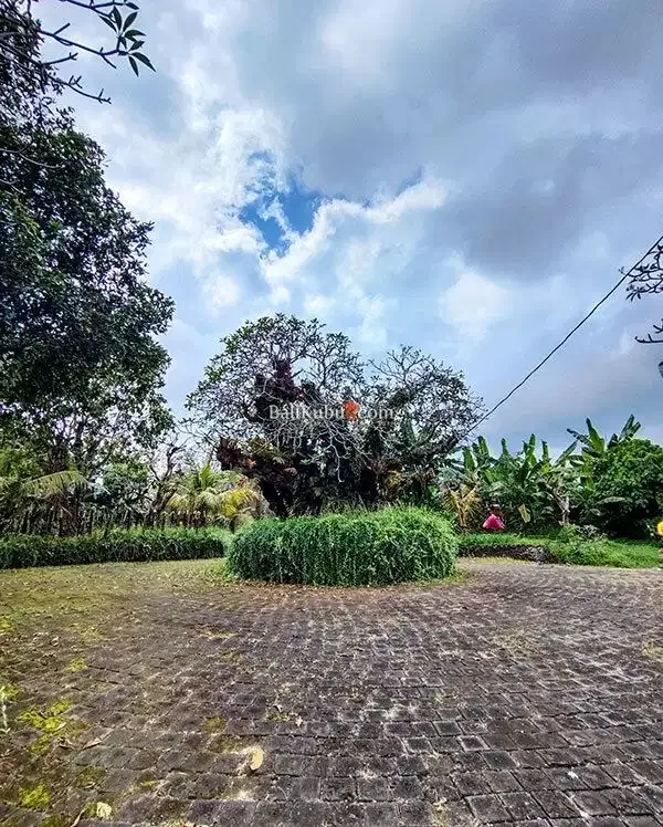 [AMS-067.DRM] Jual Tanah Kavling 1 arean Super Premium Siyut Gianyar - Image 8 of 10