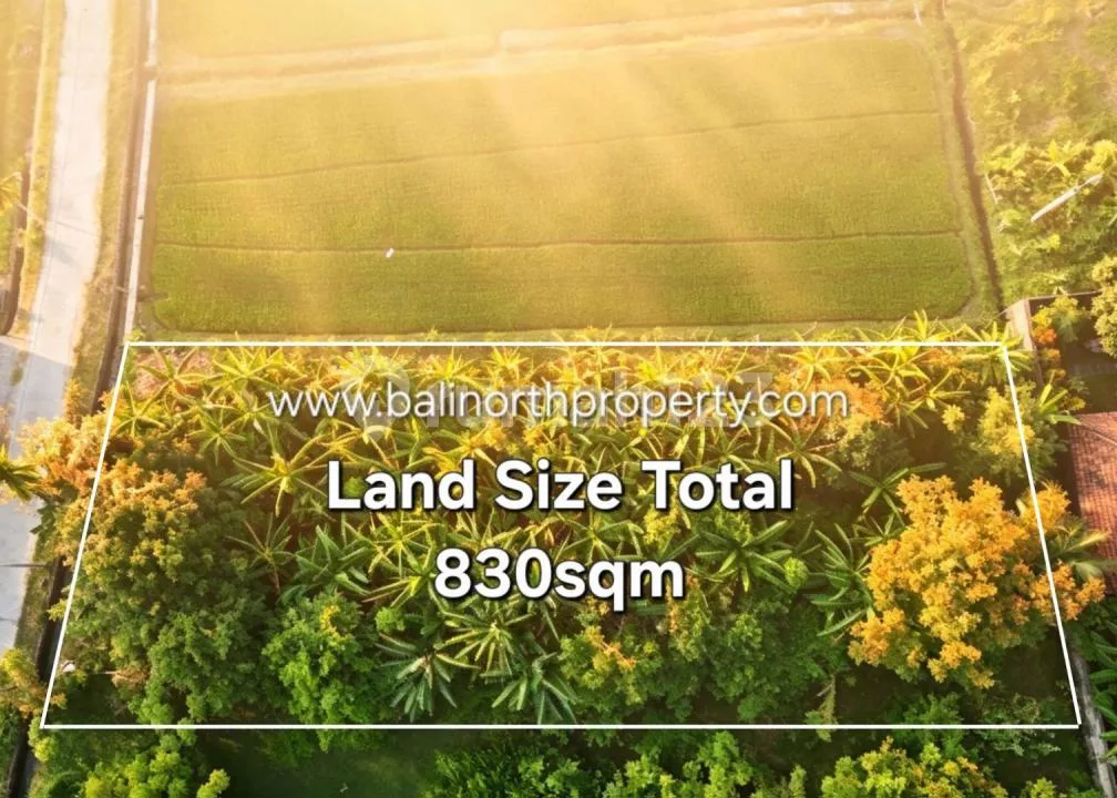 Exclusive Land For Sale In Lovina Area North Bali - Image 2 of 4