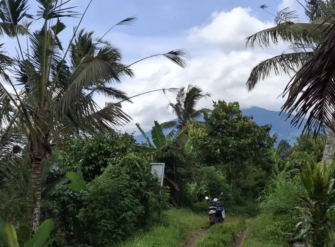 Dijual tanah los sungai view gunung dan sawah - Image 4 of 9