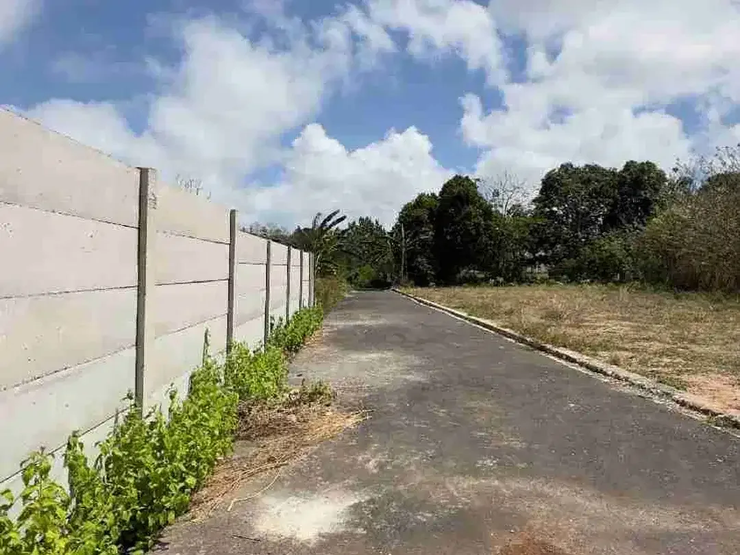 DIJUAL TANAH PREMIUM HANYA BERJARAK 3 MENIT PANTAI PANDAWA - Image 3 of 7