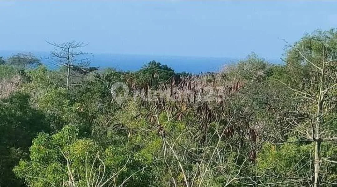 Dijual Tanah Ocean View Green Bowl Ungasan - Image 3 of 4