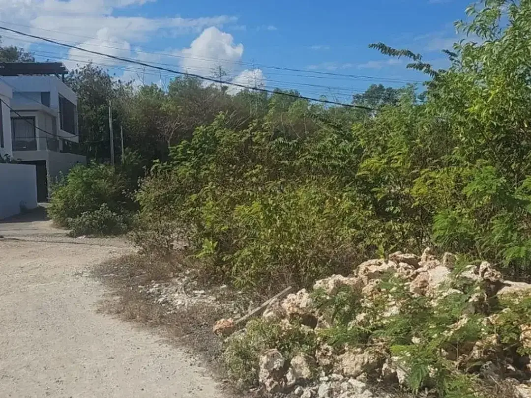 Dijual Tanah Di Ungasan Jl Pura Masuka Gg Jepun - Image 4 of 5